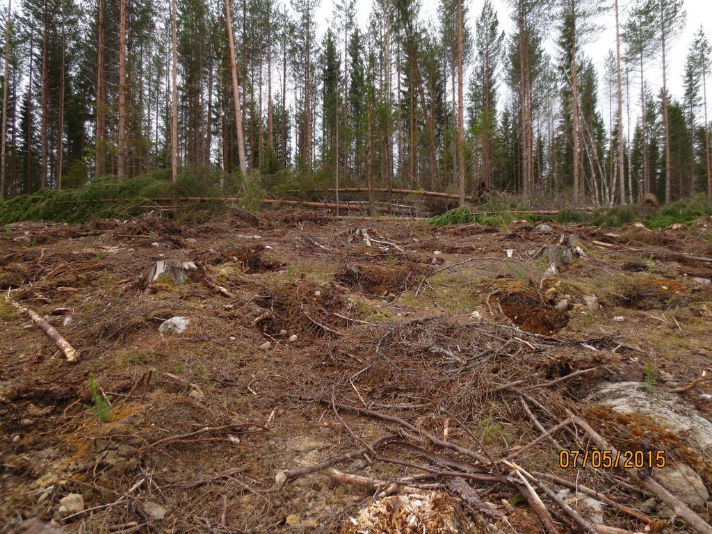 Aukko teemme metsänomistajan eteen enemmän.