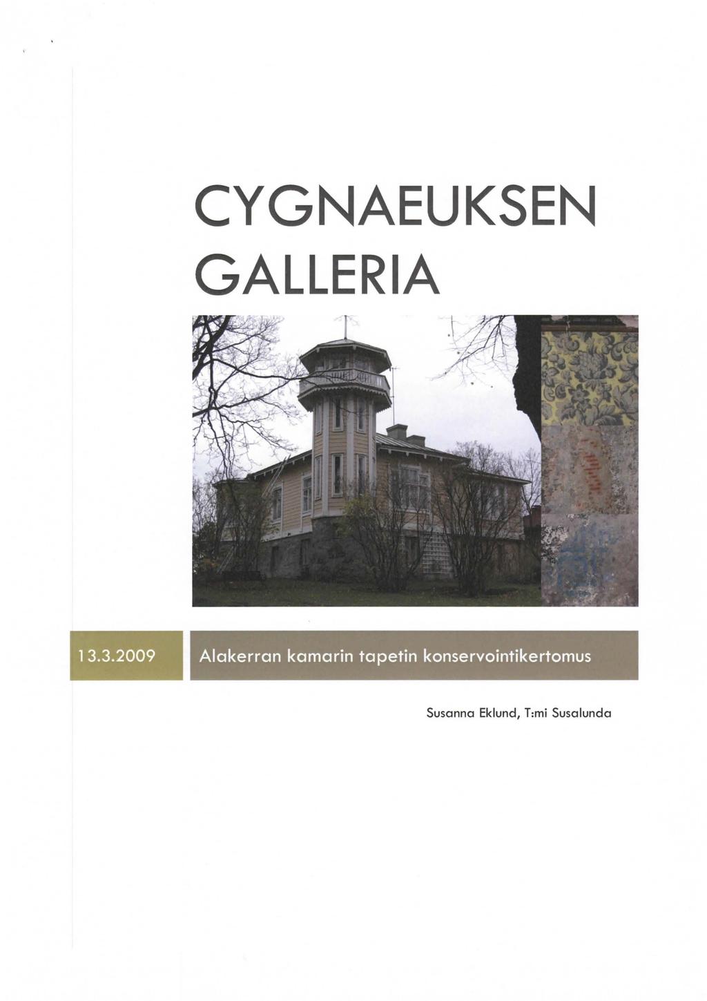 1 CYGNAEUKSEN GALLERIA 13.