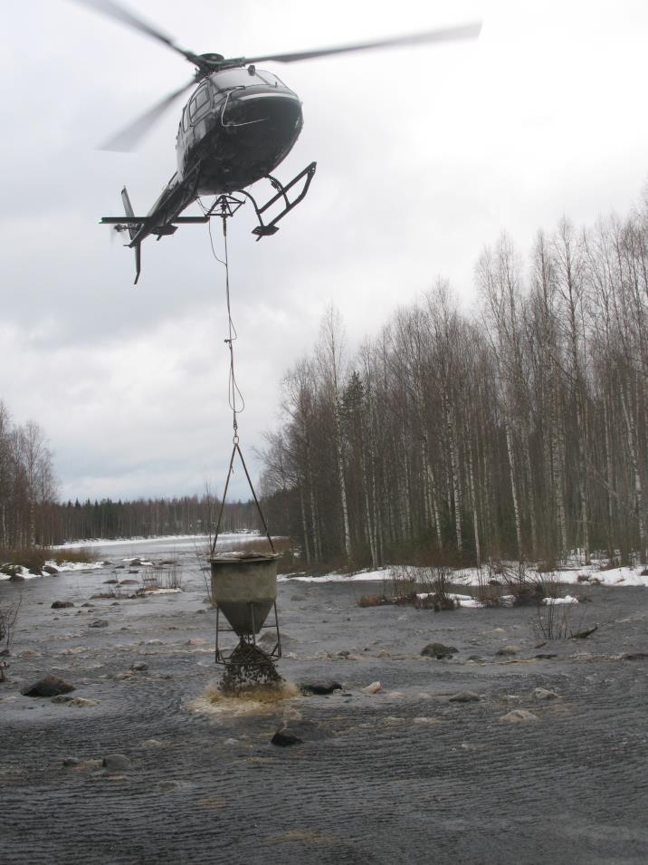 Entiset lisääntymisalueet palautettavissa tuottaviksi