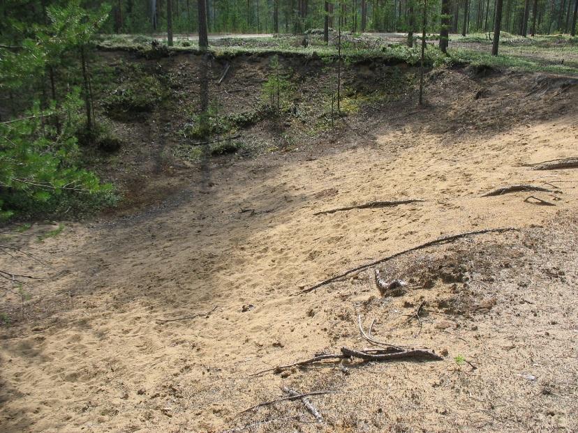 8/29 3.2 Joutsenlammen itäpuoli (1284543) Tutkimusalueen kuvaus Joutsenlammen itäpuoli sijaitsee matalassa harjuselänteessä, joka kohoaa 5-10 metriä ympäristöstään.