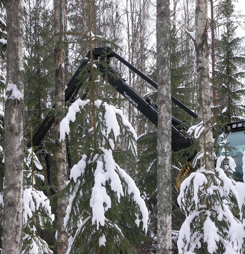 Miten olisi jatkuva kasvatus nyt? Matkiiko luontoa? Onko monimuotoista?