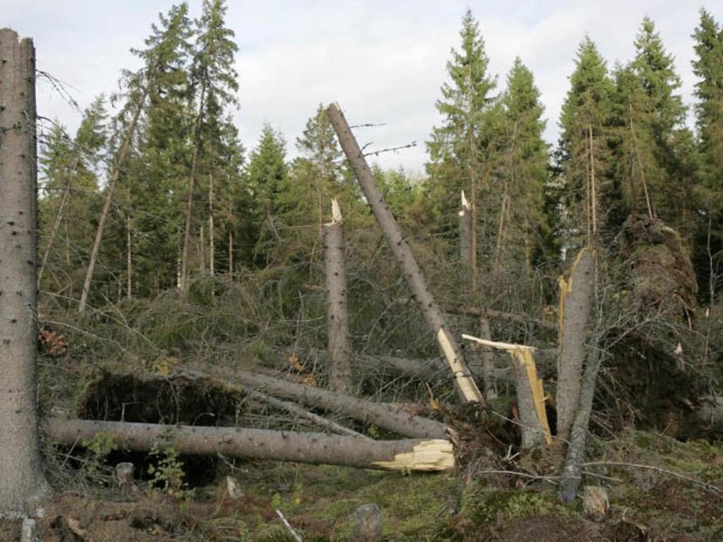 Myrskytuhot Ovatko myrskyt lisääntyneet Suomessa tai Euroopassa (voimakkuus ja esiintyminen)?