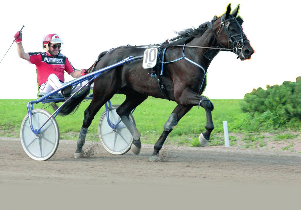 Hinnasto Toto4-ravit... Toto76-ravit.