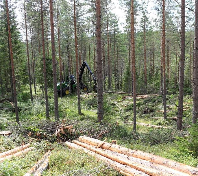 Lisäys on pääasiassa havukuitupuuta.