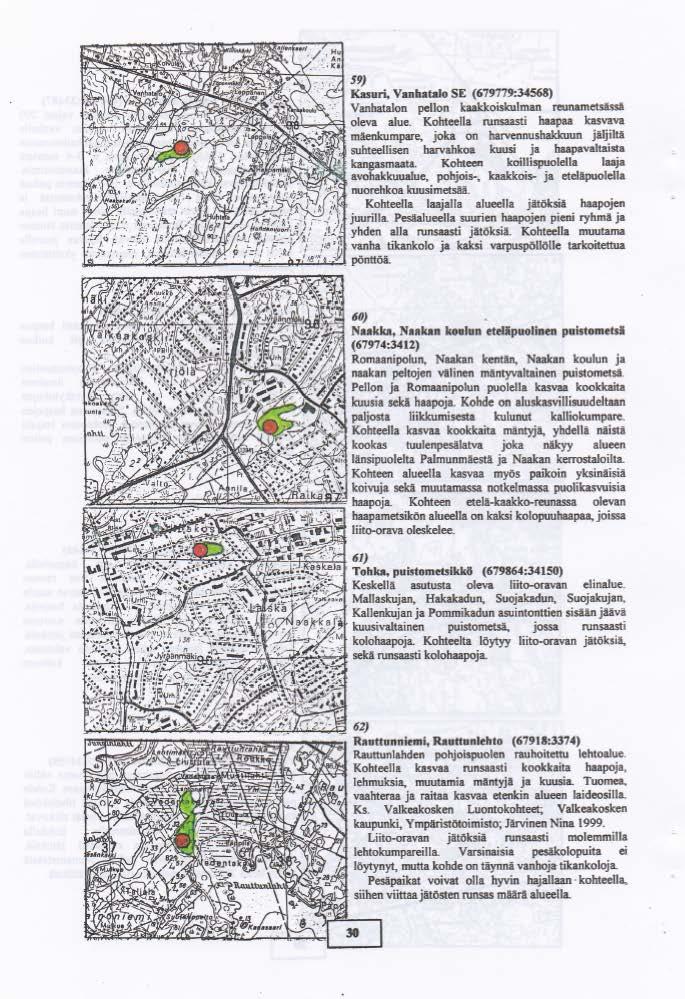 Ote liito-oravat Valkeakoskella 2001-2003