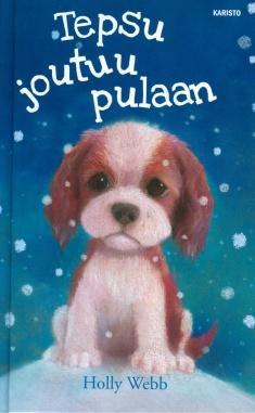 Eräänä joululoman lumisena päivänä hurmaava Sissi on kadonnut ja huoli on kova, minne pikku kissa on joutunut. Jännittävä tarina, jossa onnellinen loppu.