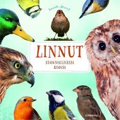 12 Strauss, Daniela Linnut : hauska tietokirja Linnut