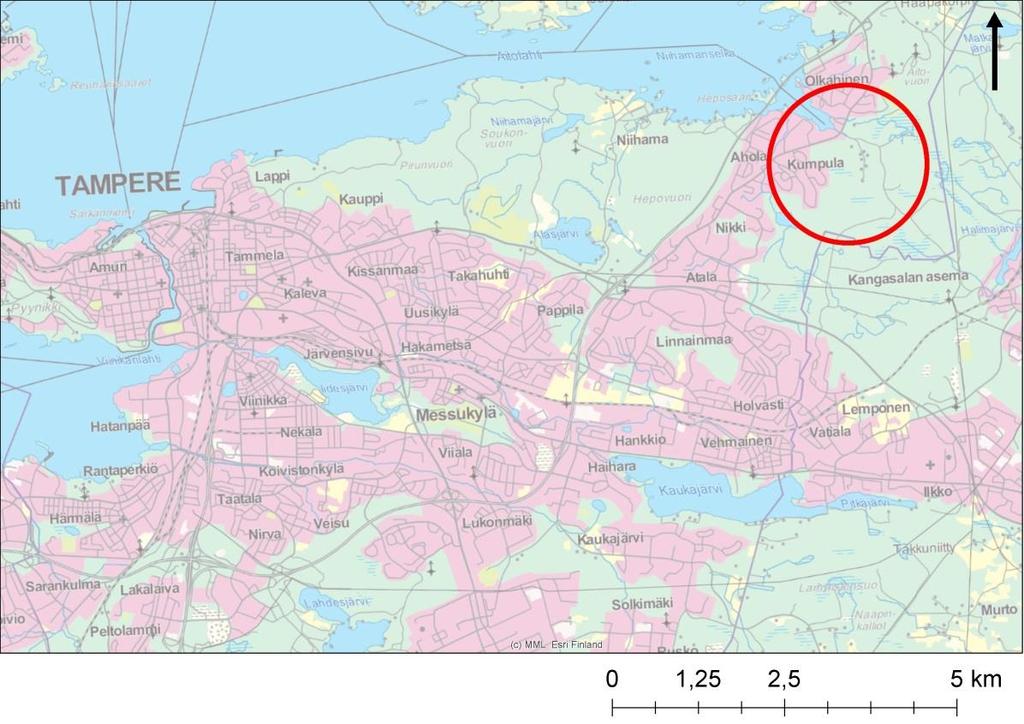 1 1. JOHDANTO Työn tarkoituksena oli selvittää liito-oravan esiintymistä Tampereen Ojalan asemakaavojen nro 8637 ja 8638 alueilla.