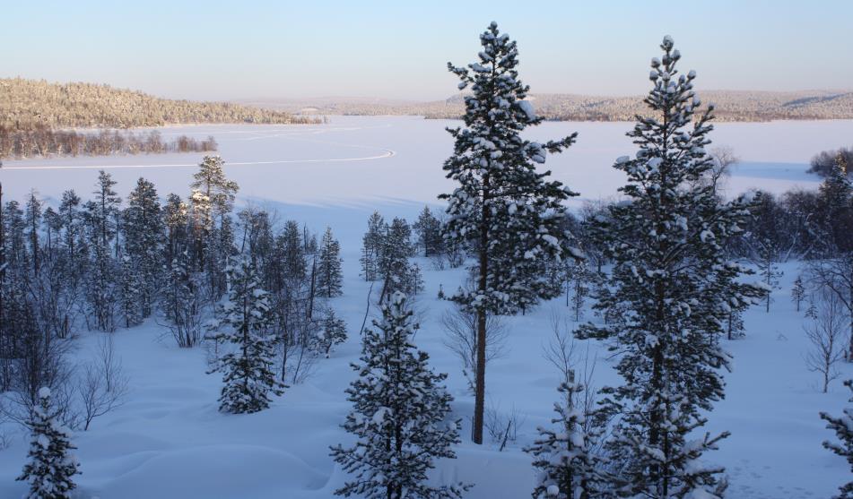 Taustaa VUOSITYÖAIKA Vanha lainsäädäntö Nuorisoasteen koulutus -> Nuorisoasteen sopimukset Aikuiskoulutus -> Ammatillisten aikuiskoulutuskeskusten sopimukset Ammatillinen