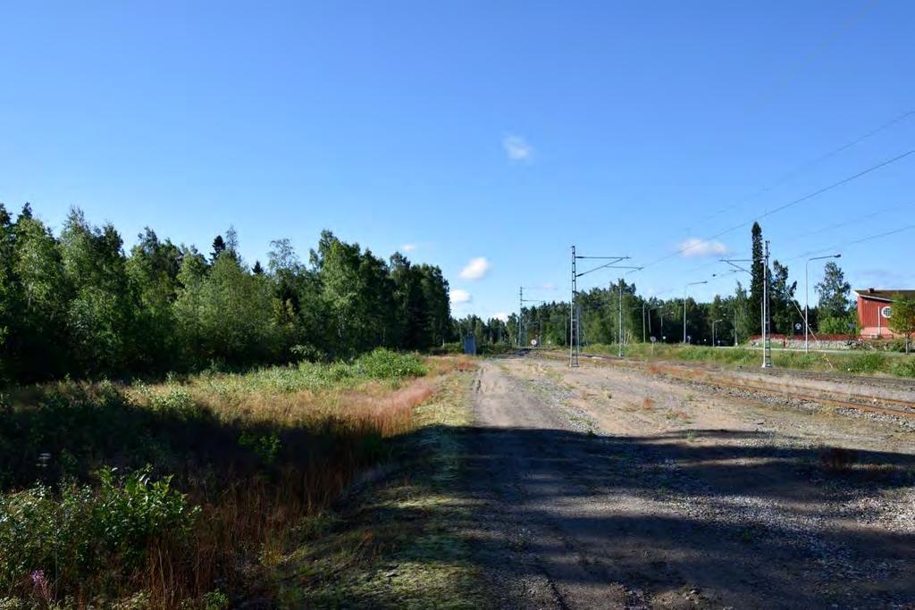 NATURINVENTERING LUONTOSELVITYS BILAGA 3 LIITE 3 Figur 1. På bangården förekommer en intressant växtlighet med enstaka lite mera ovanliga växter för våra trakter.