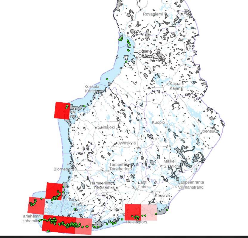 5 Kuva 2. Hylkeiden esiintyminen (tiheys) eri merialueilla. Harmaalla Natura 2000 alueet. Lähde Luonnonvarakeskus www.riistahavainnot.fi.