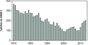 Itämeren pääaltaan ja Suomenlahden silakka ICES:n suositus kalastuskiintiöksi on 155 335 tonnia, mikä on 3 % pienempi kuin kuluvalle vuodelle asetettu kiintiö EU MAP:n mukainen