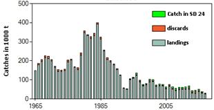 Itämeren itäinen turska ICES:n suositus kalastuskiintiöksi on 16 685 tonnia, mikä on 48 % pienempi kuin kuluvalle vuodelle asetettu kiintiö