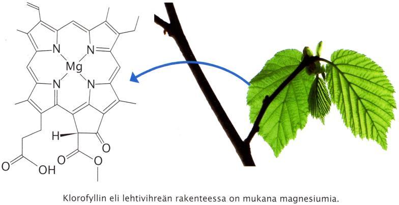 Huomaatko molekyylien samankaltaisuuden?