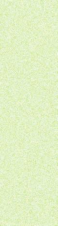 7394379884181 LUOMU