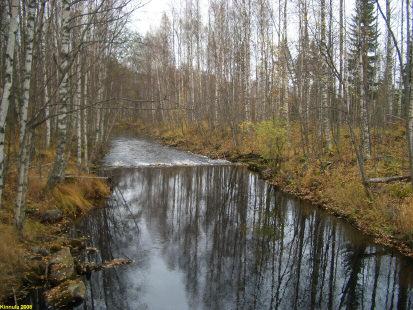 että joen rantojen maasto on arkeologin kannalta hyvin surkeaa.