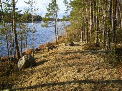 Myllyjoen rannat ovat pääosin alavia ja laakeita, peltoja jotka pääosin visusti ummessa (heinällä tai paketissa tms.), eikä peltoalueilta mitään havaintoja.