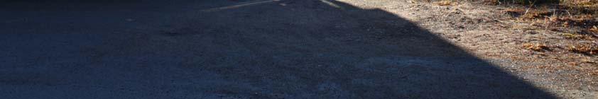 II