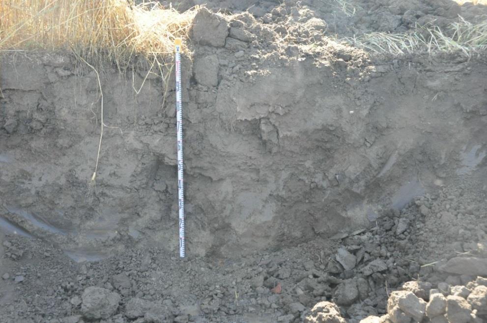10 Toinen poikkeuksellinen kohta oli paikallistien alitusporausta varten pellolle oheisen kartan kohtaan B avattu 2,5 x 2 m laaja kaivanto, jonka suurin syvyys oli 110 cm.