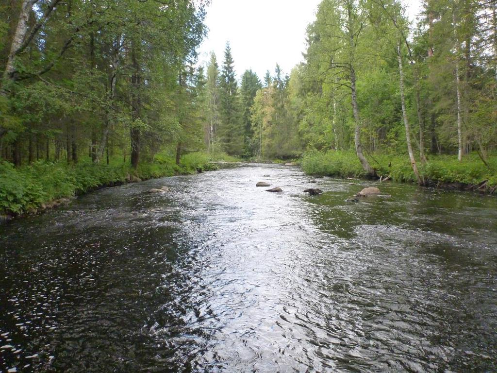 Osa VII: Terrafamen kaivoksen kalataloudellinen tarkkailu vuonna 2016 9 / 1 Kuva 5.