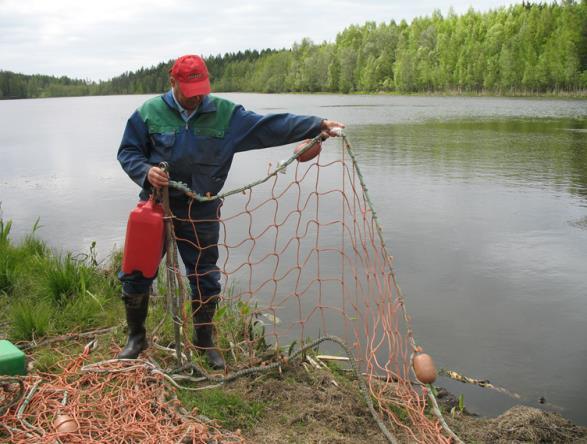Raivausnuottaus kerran kesässä Uposkasvien poisto nuottaamalla tai keräävällä leikkuukoneella Leviävät herkästi pienistäkin palasista, joten niiden niittämistä ei suositella