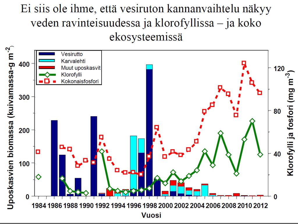 Kuva: Seppo Hellsten, SYKE