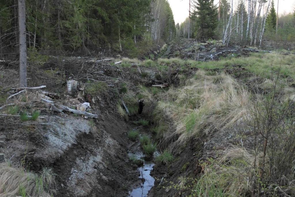 3.4 Valuma-alueet ja vesiolosuhteet Selvitysalue sijaitsee keskimäärin noin 5-15 metriä merenpinnan yläpuolella. Selvitysalueen laaksokäytävät ovat alavia ja hyvin tasaisia alueita.