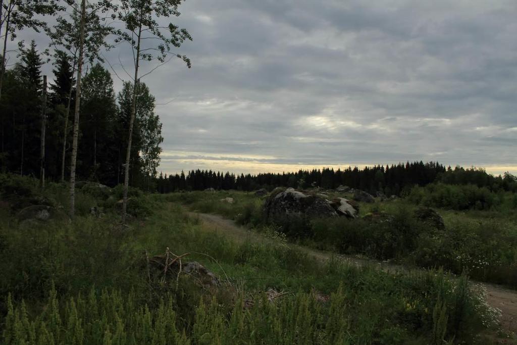 4.6 Lepakot Lepakot ovat olleet rauhoitettuja Suomessa jo vuodesta 1923 lähtien. Nykyinen suojelu perustuu EU:n unionin luontodirektiivin (92/43/ETY) liitteeseen IV (a).