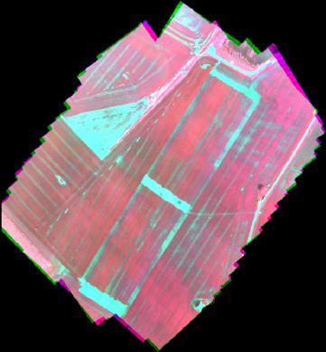 A case study of a precision fertilizer application task generation for wheat based on classified hyperspectral data