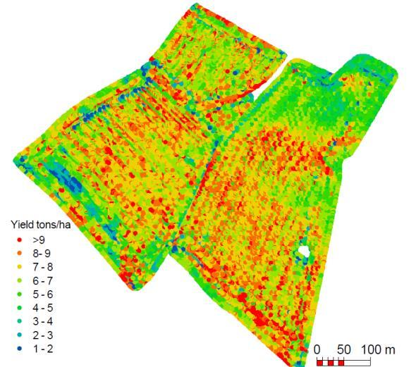 Analysis based on spectral data (MML) Measured