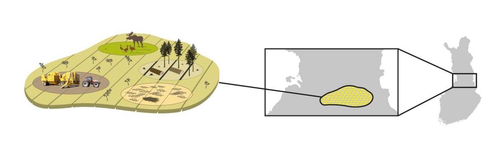 LIFEPeatLandUse tuottaa tietopohjaa soiden kestävälle ja kustannustehokkaalle käytölle EU LIFE+ Ympäristöohjelman rahoittama LIFEPeatLandUse oli ensimmäinen metsätalouskäyttöön soveltumattomiin