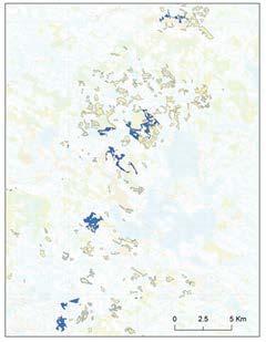 15 v/y 100v/y Biodiversity The biodiversity of peatlands has degraded in Finland as a result of forestry drainage.