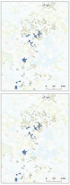 Mire vegetation responds to local conditions and thus reflects peatland biodiversity.