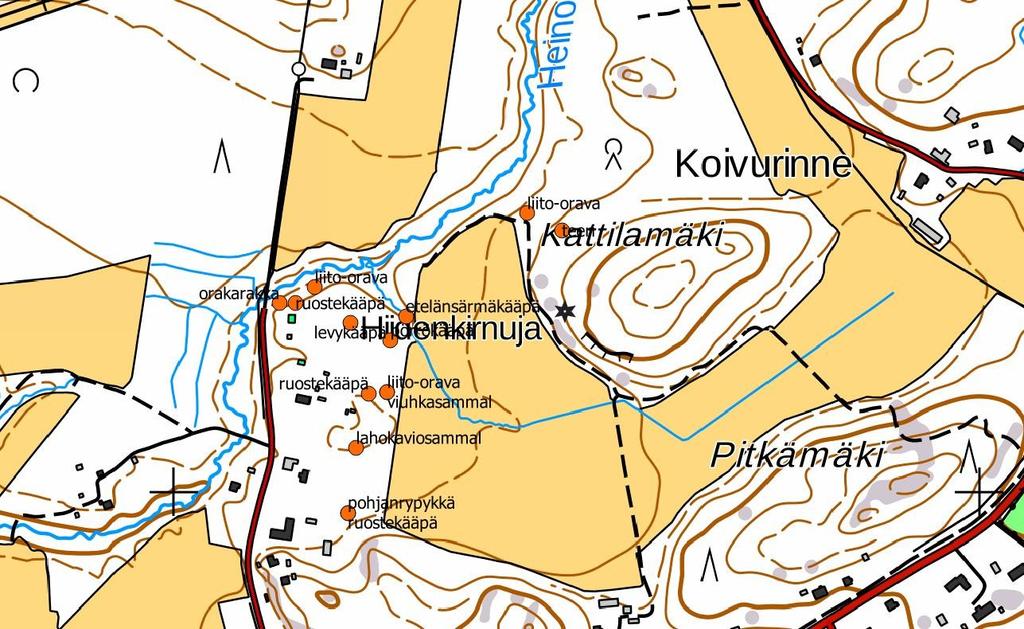 Liite 5. Heinojalta havaitut luontoarvoja indikoivat lajit sekä liito-oravan ja teeren jätöspuut.