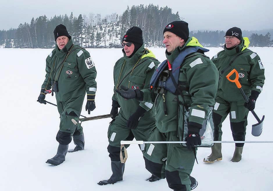 Juuri nyt saimaannorpan elämä näyttää valoisammalta kuin pitkään aikaan, mutta lajin säilyminen Saimaalla edellyttää toimia myös jatkossa. Sukupuuton uhka on edelleen merkittävä.