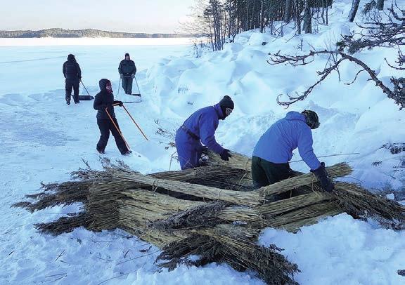 Ilman pesän suojaa helmi-maaliskuussa syntyvä kuutti on alttiina kylmettymiselle, pedoille ja häiriöille.