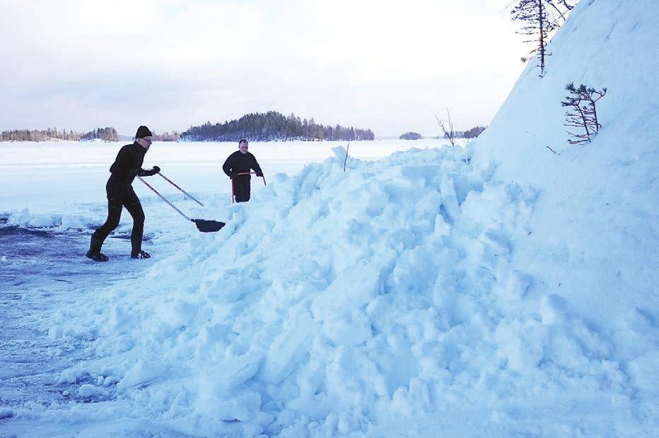 Menestyksekkääksi osoittautui apukinosten kolaaminen ennen pesinnän alkamista, jos lunta ei ollut luonnostaan kinostunut riittävästi.