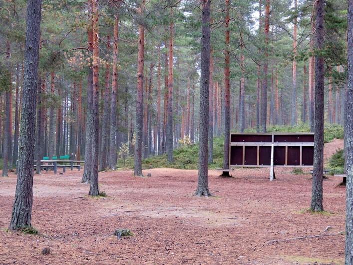 Harjun rantatörmä leirialueen pohjoispuolella.