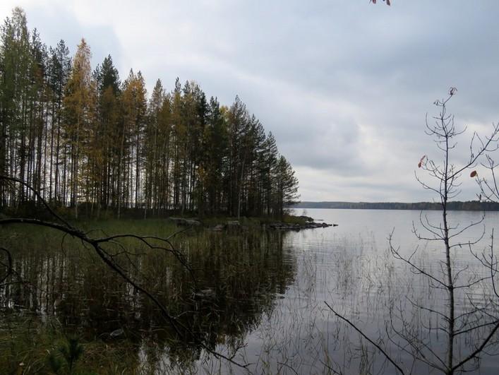 13 Kuva 10. Lokkikivenniemi kuvattu etelään.