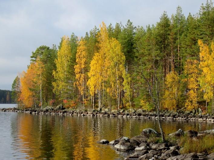 Kuva 11. Jauhosaaren eteläkärki kuvattu lounaaseen.