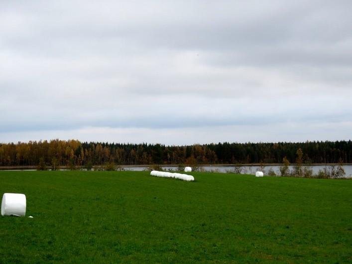 yläpuolella on pieni kesannolla oleva pelto. Kuva 14.