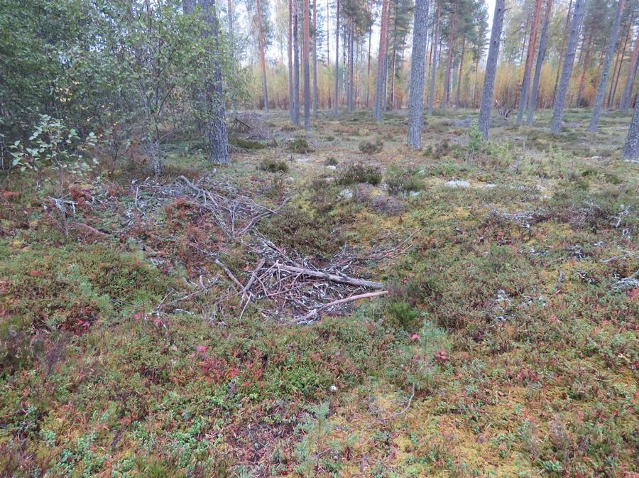 19 Kuvaus: Harjun pohjoisosassa, vt:n 77 pohjoispuolella harjun kivisen ytimen itäpuolella on 350 m pitkä ja paikoitellen 130 m leveä epäsäännöllinen 15 kuopan rykelmä.