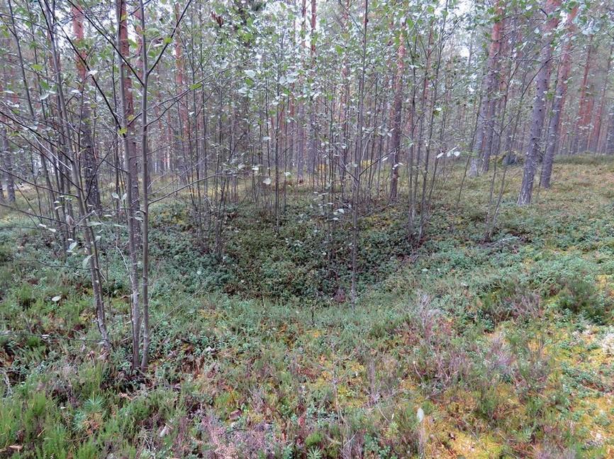 Kuvaus: Harjun keski- ja eteläosassa, vt:n 77 eteläpuolella harjun kivisen ytimen länsipuolella on 990 m pitkä ja keski määrin 60 m leveä 29 kuopan jono.
