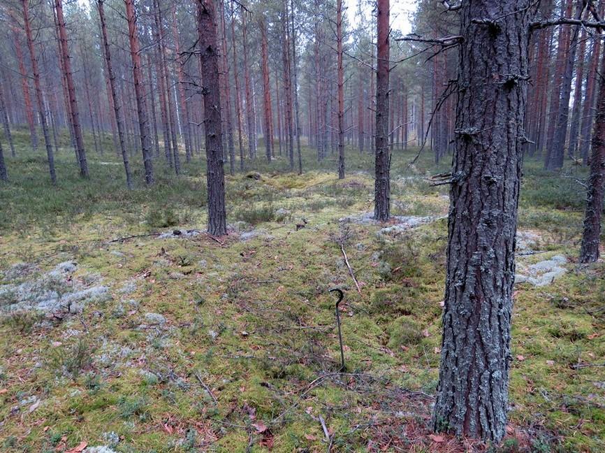 22 Kuoppa 32 kuvattu lounaaseen.