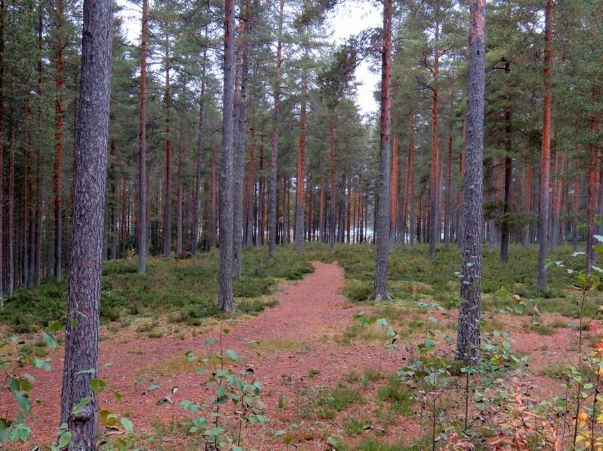 23 3. Piispala-Uimaranta Mj-rekisteri: Laji: Mj-tyyppi: Tyypin tarkenne: Ajoitus yleinen: Ajoitustarkenne: Lukumäärä: Rauhoitusluokkaehdotus: Paikkatiedot: Karttanumero: Koordinaatit: Kohteen rajaus: