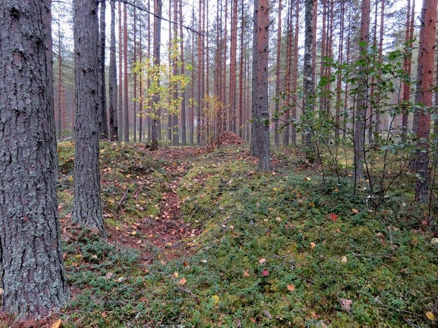 28 Kuvaus: Paikalla on pieni tervahauta, halkaisija 6 m, kuopan halkaisija 3,5 m ja syvyys 0,5 m.