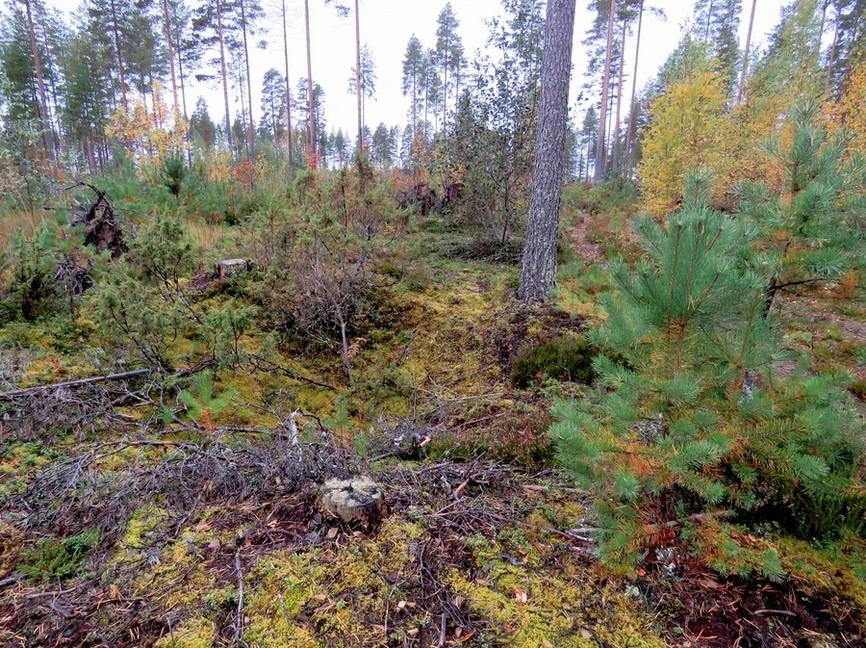 32 Vaikutusten arvio: Ei vaikutusta. Pohjoisin kuoppa kuvattu lounaaseen. Kartta sivulla 31.