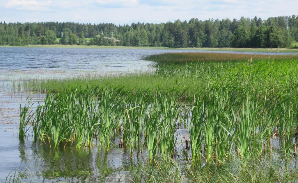 uposkasvien, kelluslehtisten ja ilmaversoisten kasvien