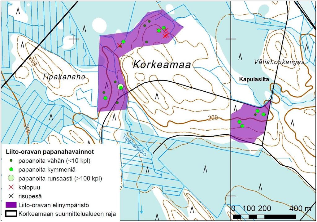 PESOLAN JA KORKEAMAAN TUULIVOIMAPUISTOJEN LIITO-ORAVASELVITYS 6 Kuva 4-4. Liito-oravahavainnot Korkeamaan mäen ympäristössä. (sisältää Maanmittauslaitoksen Peruskartta-aineistoa, 20