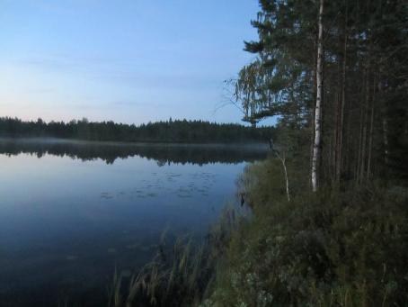 PESOLAN JA KORKEAMAAN TUULIVOIMAPUISTOJEN LEPAKKOSELVITYS 4 4.